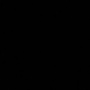 Meet your Posher, Taelyr